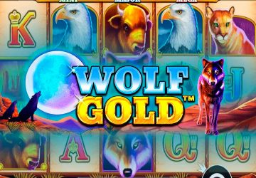 Microgaming - игровой автомат онлайн от Various с RTP 96.11%